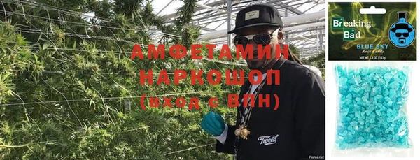 прущие грибы Белокуриха
