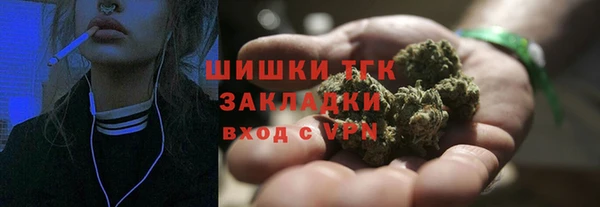 прущие грибы Белокуриха