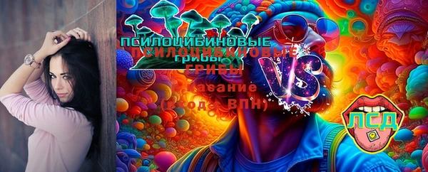 прущие грибы Белокуриха