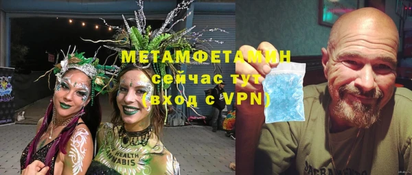 прущие грибы Белокуриха