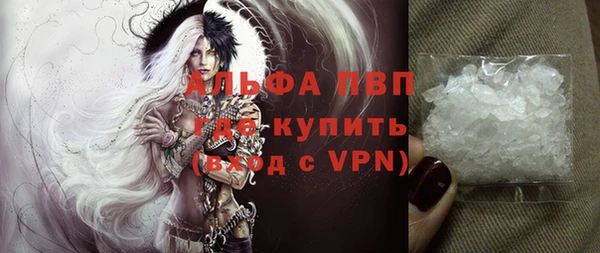 прущие грибы Белокуриха