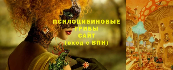 прущие грибы Белокуриха