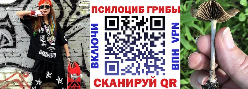 Псилоцибиновые грибы мухоморы  ОМГ ОМГ вход  Нижнеудинск 